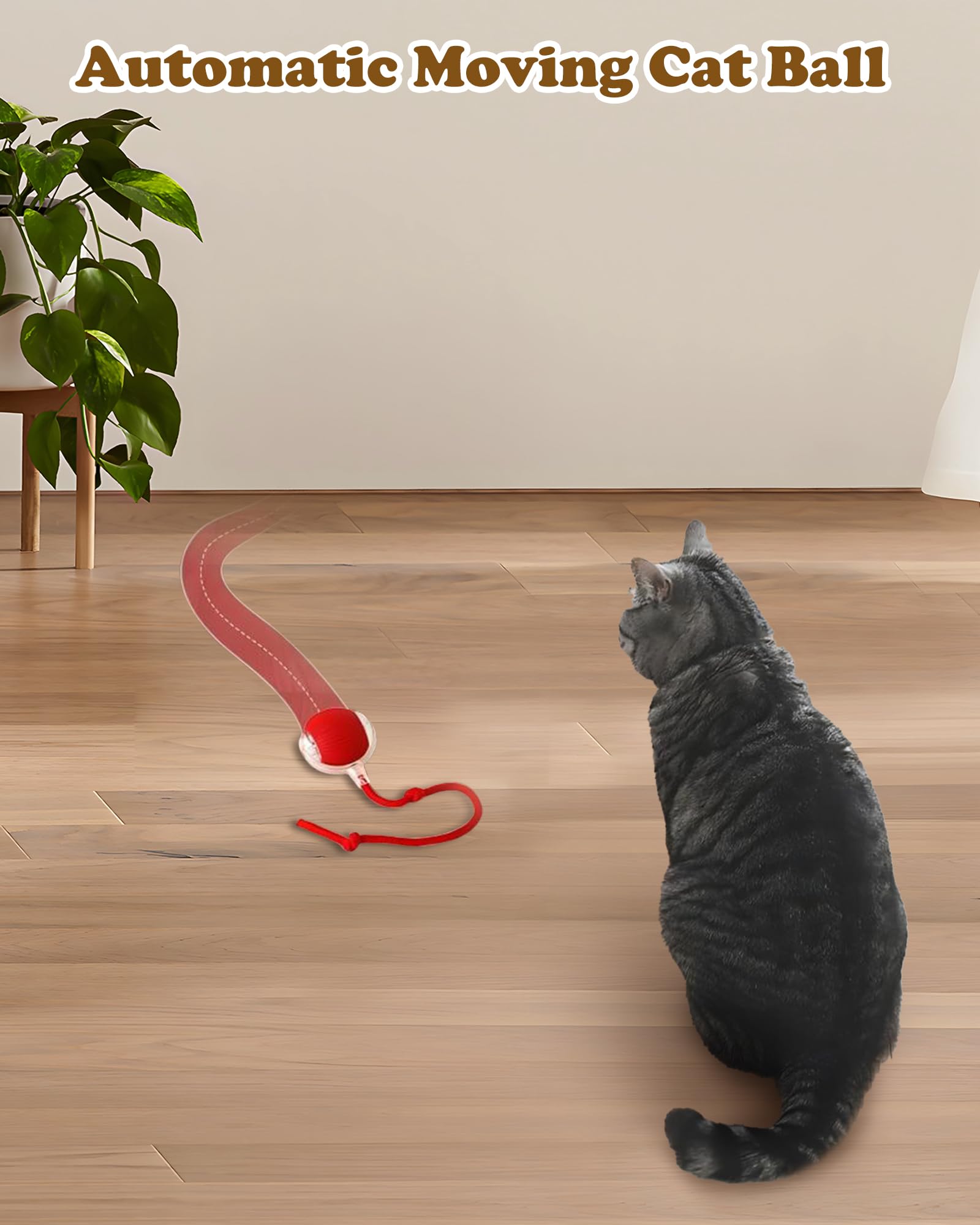 2025 Upgraded Smart Self-Rolling Electric Interactive Cat & Dog Ball Toy - Red - Fun Indoor Play for Bored Adult Cats & Kittens - Perfect for Exercise & Mental Stimulation