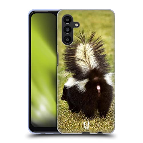 Striped Skunk