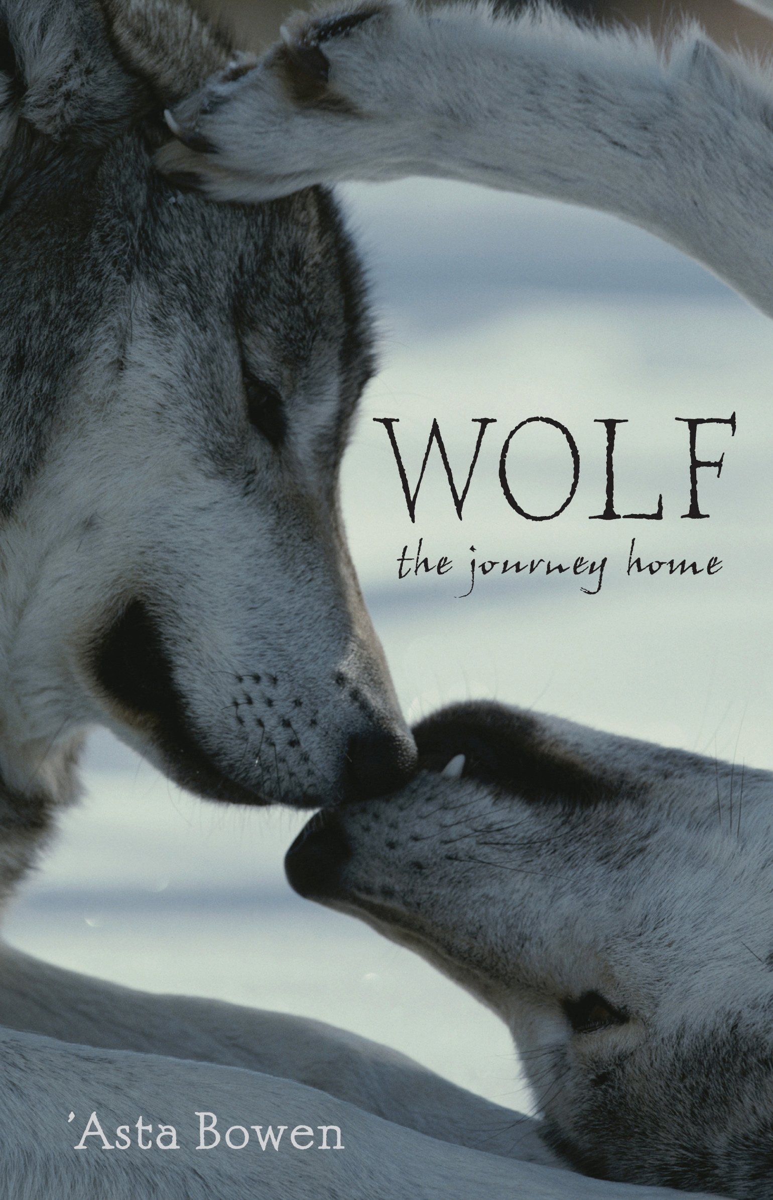 Wolf: The Journey Home - Adventure Novel for Nature Lovers | Perfect for Outdoor Enthusiasts & Wildlife Readers