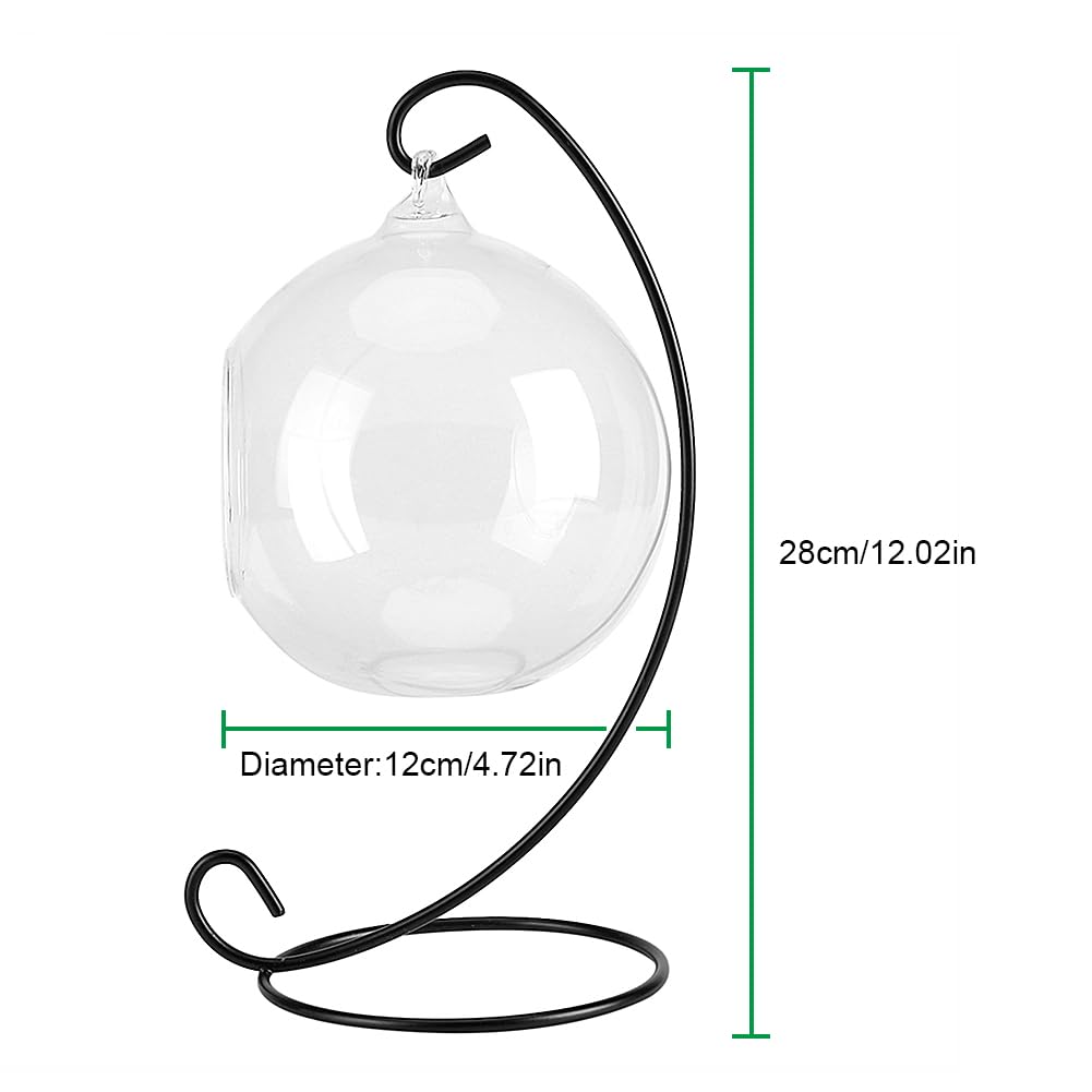 Air Plant Terrarium Kit with Hanging Glass Vase & Metal Stand - Tabletop Display for Succulents, Small Plants | Home Office Decor, Gift Idea for Plant Lovers