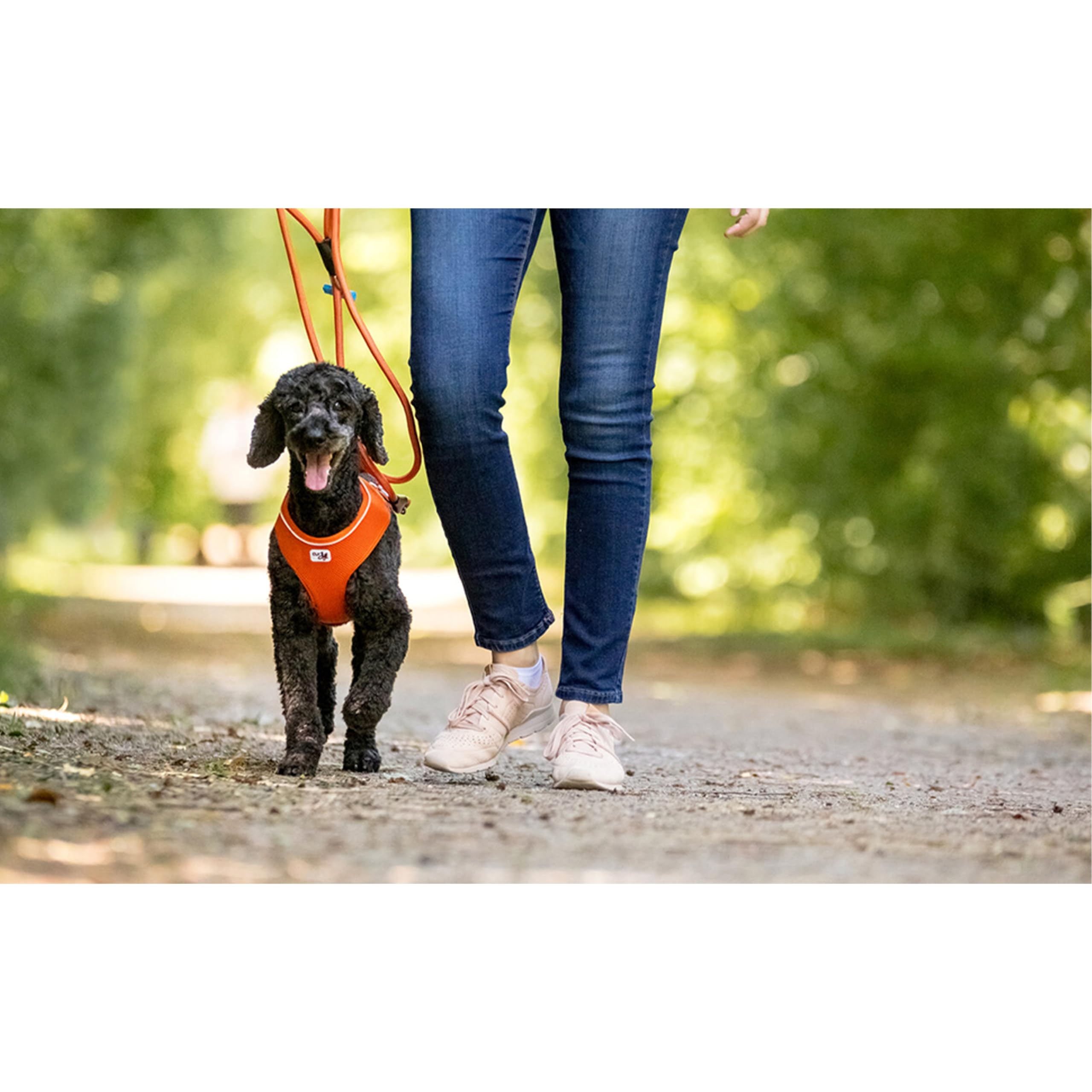Air Mesh Camo Dog Harness - Breathable & Adjustable for Small to Medium Dogs - Perfect for Hiking, Running & Outdoor Adventures