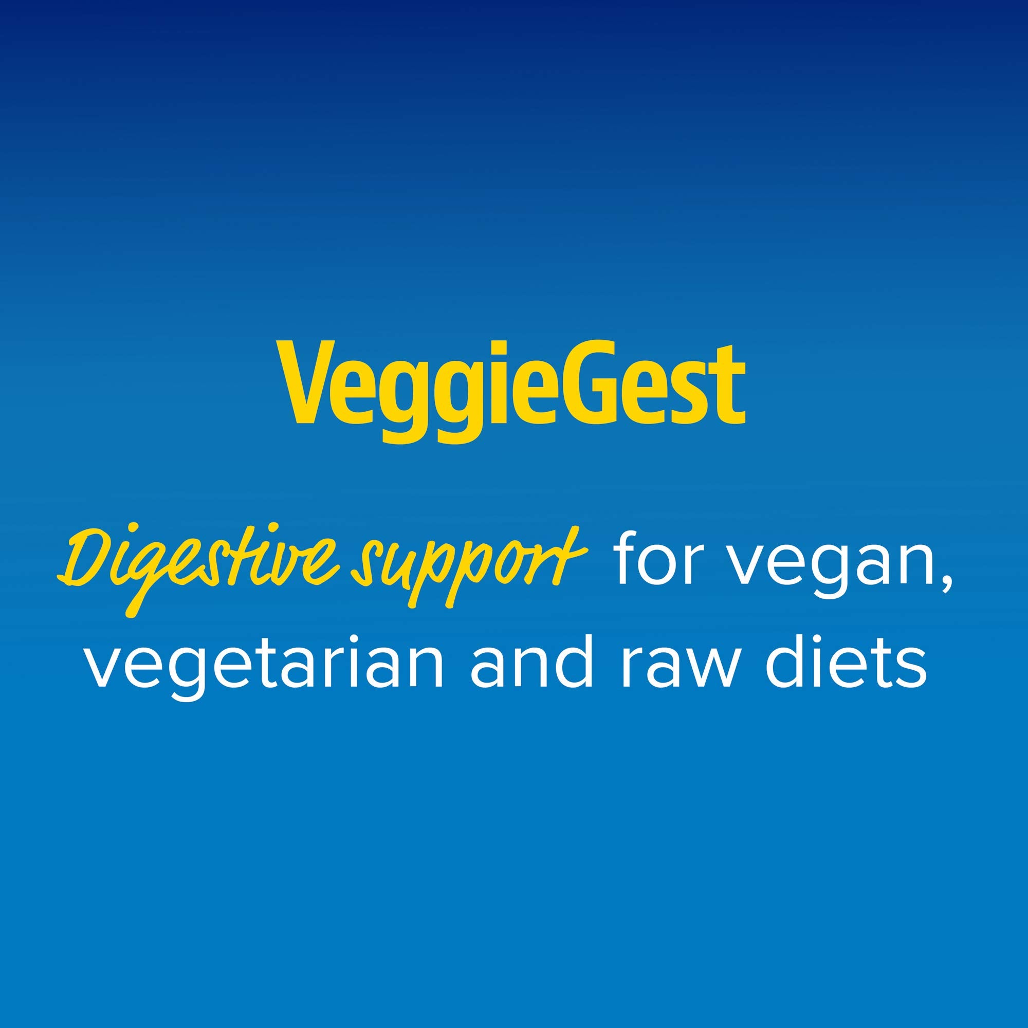 Enzymedica VeggieGest Digestive Enzymes - 90 Capsules for Plant-Based Digestion Support | Vegan & Gluten-Free Supplement for Bloating & Gut Health | Ideal for Vegetarians & Sensitive Stomachs