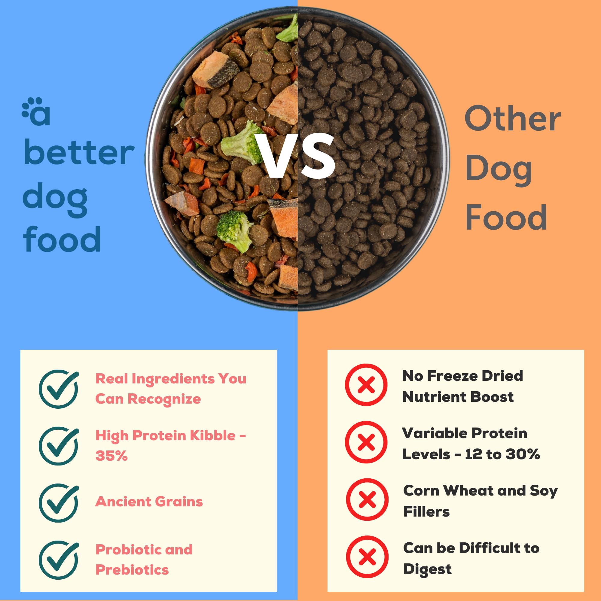 Premium Salmon Dry Dog Food with Freeze-Dried Raw Toppers - High Protein Kibble for All Breeds & Ages | Ideal for Active Dogs, Puppy Growth & Senior Dog Health | Made in USA