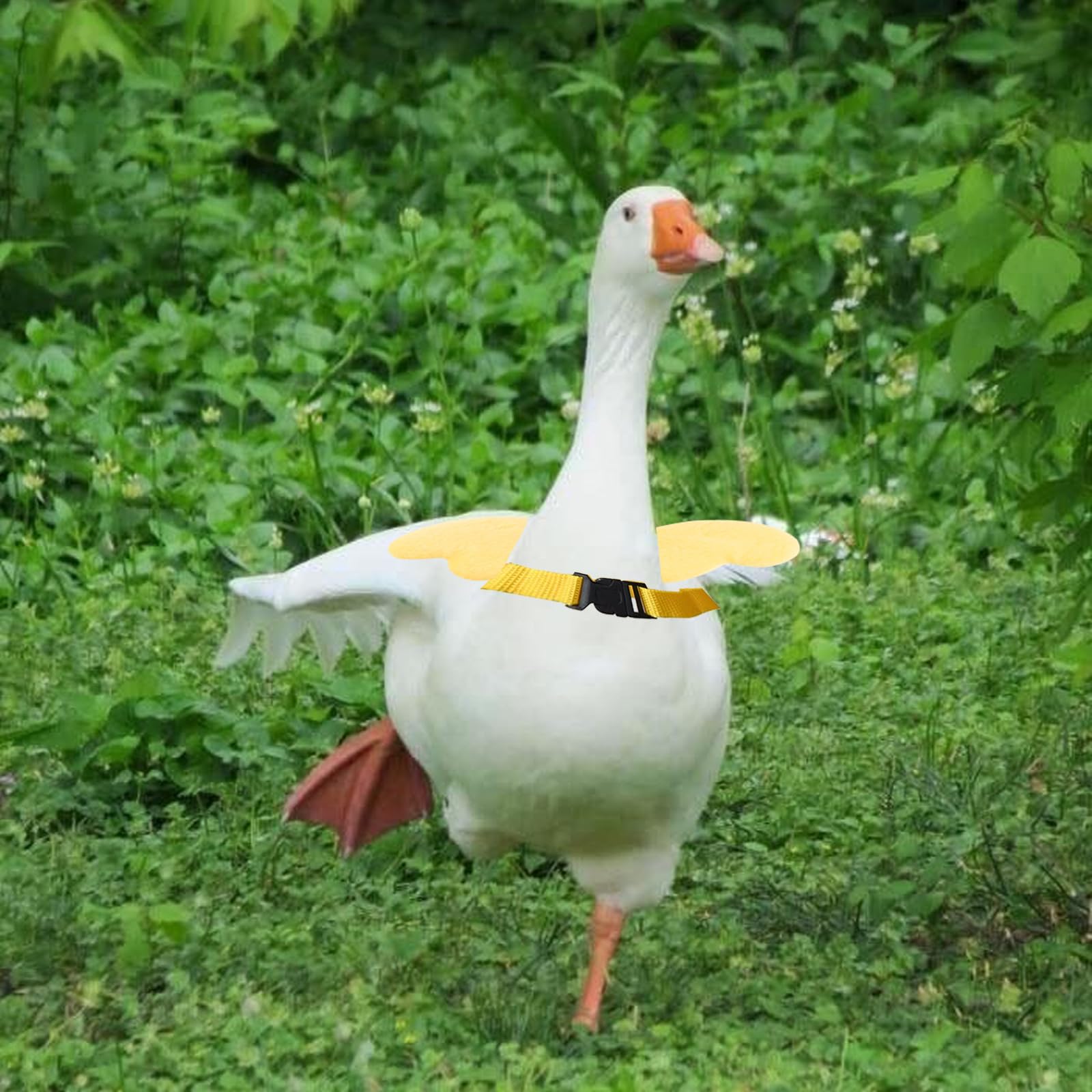4 Pcs Adjustable Duck Walking Harness & Leash Set - Funny Pet Duck Accessories for Outdoor Training, Chicken, Goose & Hen (Large) - Perfect for Backyard Adventures, Farm Walks & Duck Training Sessions