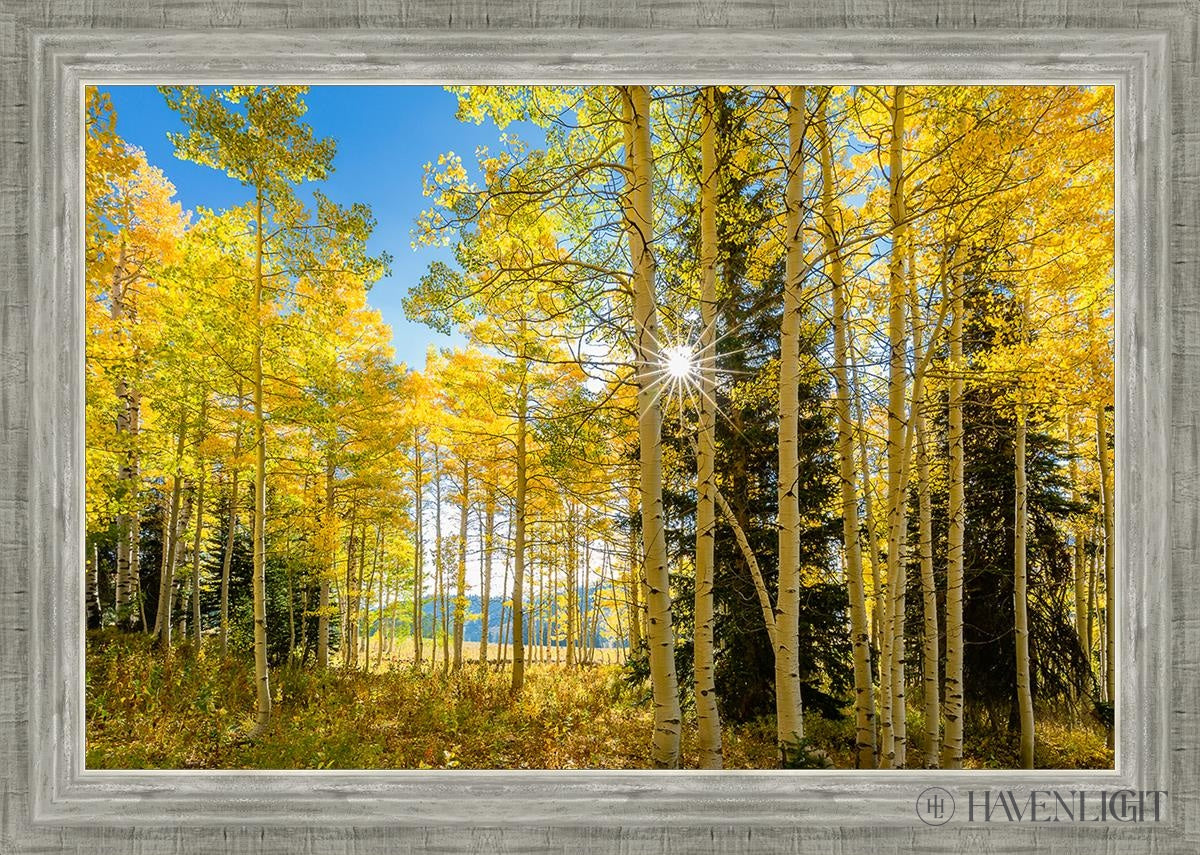 Autumn in the Rocky Mountains - Stunning Fall Foliage at Wasatch National Forest Utah | Perfect for Hiking, Photography & Nature Exploration