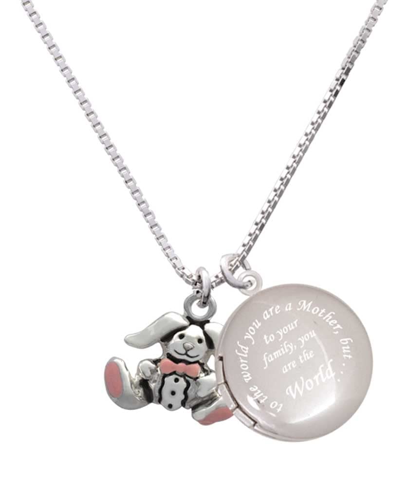 Delight Jewelry Sterling Silver Sitting Bunny with Easter Egg Pendant - Mother's Day Locket Necklace 18