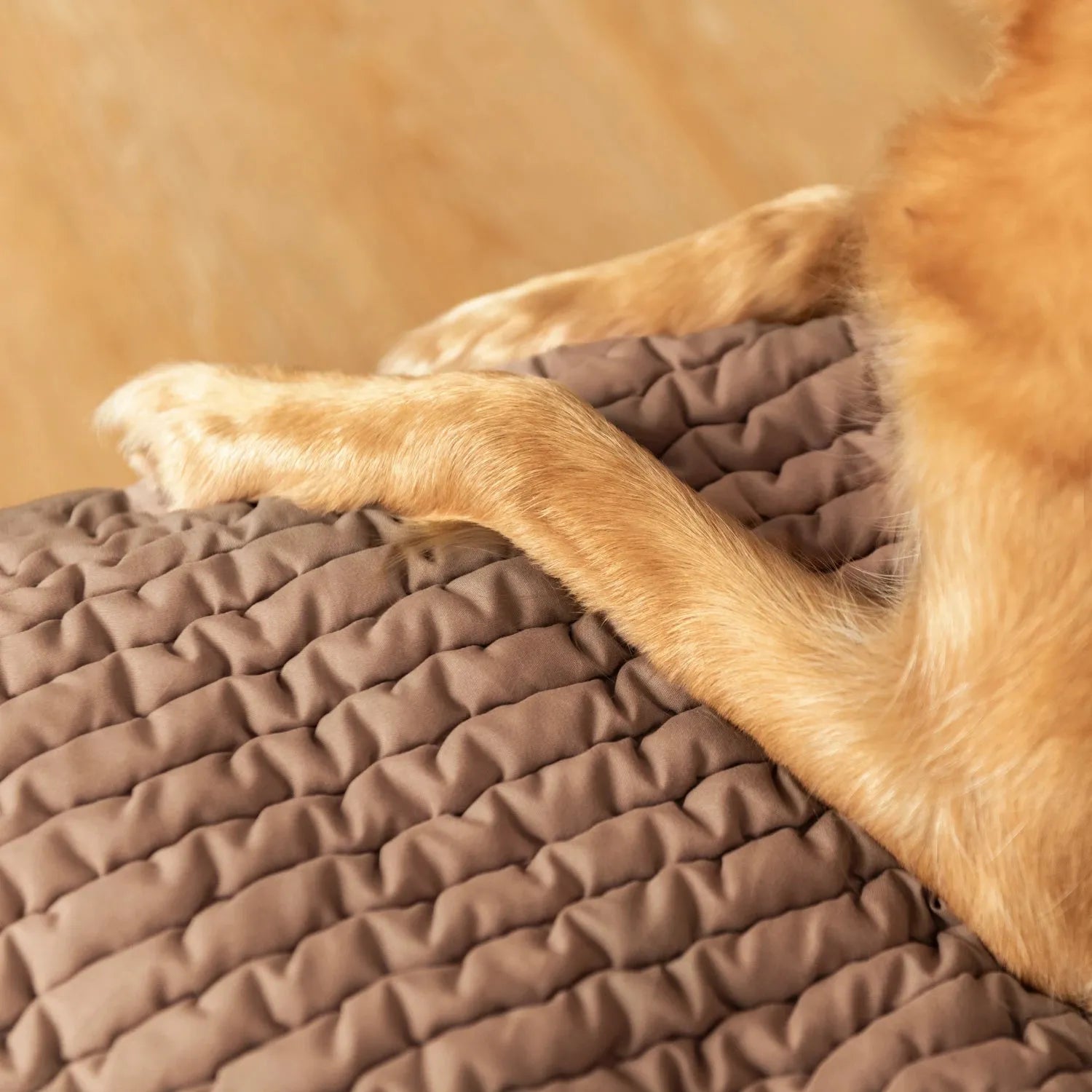 Waterproof Dog Blanket Armchair Cover - Soft Pet Bed Protector for Furniture, Washable & Non-Slip - Perfect for Sofas, Couches, and Recliners
