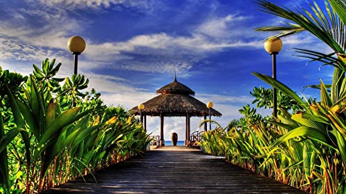 Paradise