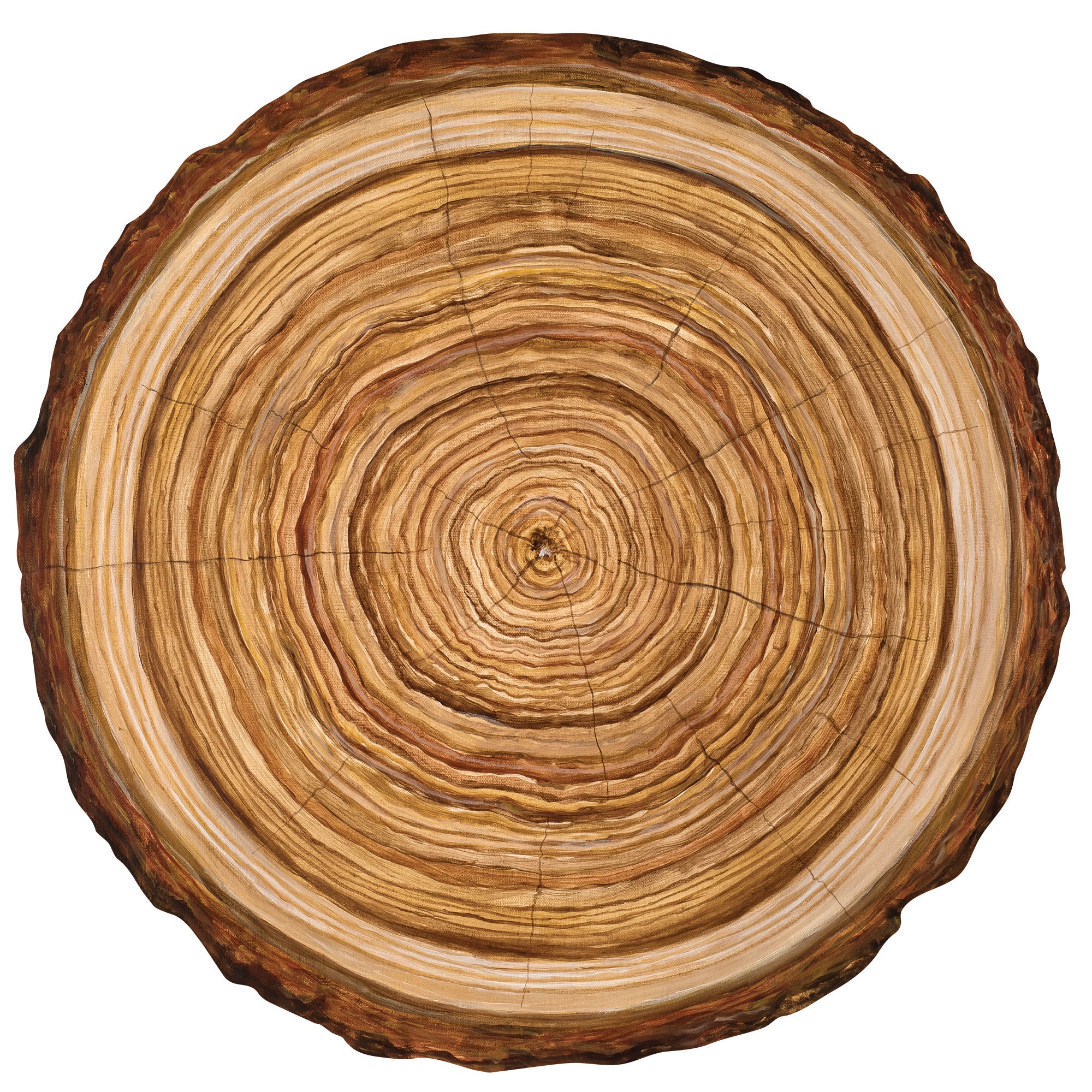 Natural Wood Slice Placemats - Rustic Round Wooden Coasters for Table Decor - Perfect for Farmhouse, Wedding, and Holiday Dining Decorations