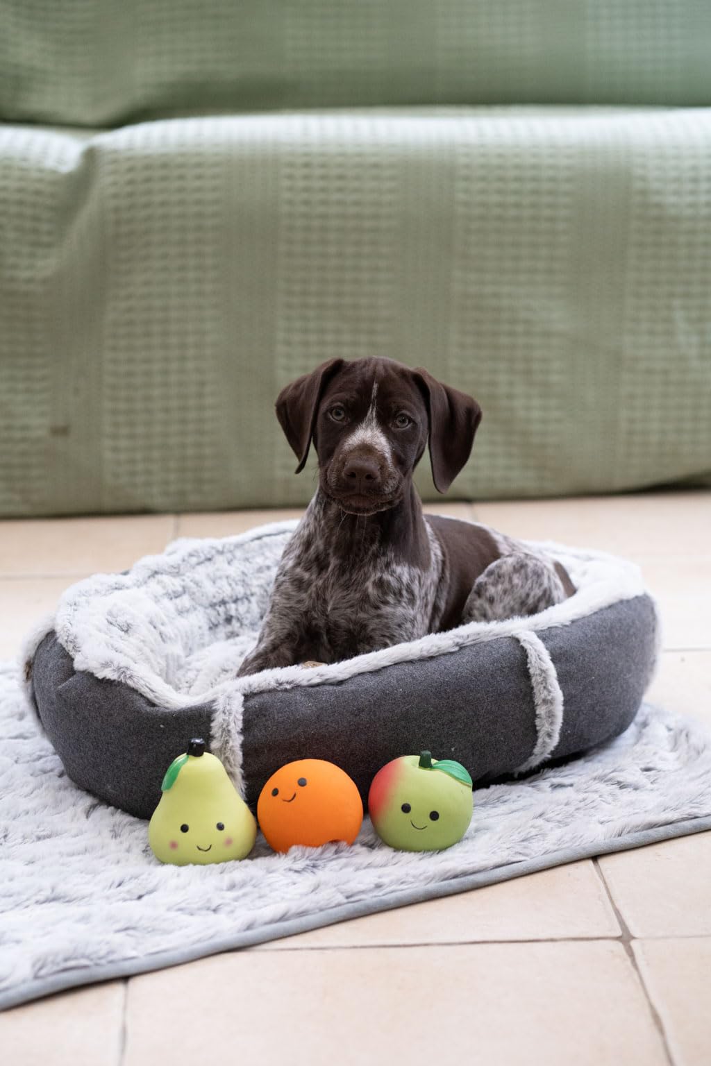 Durable Latex Orange Soft Chew Dog Toy for Small Dogs - Perfect for Teething Puppies & Playtime Fun