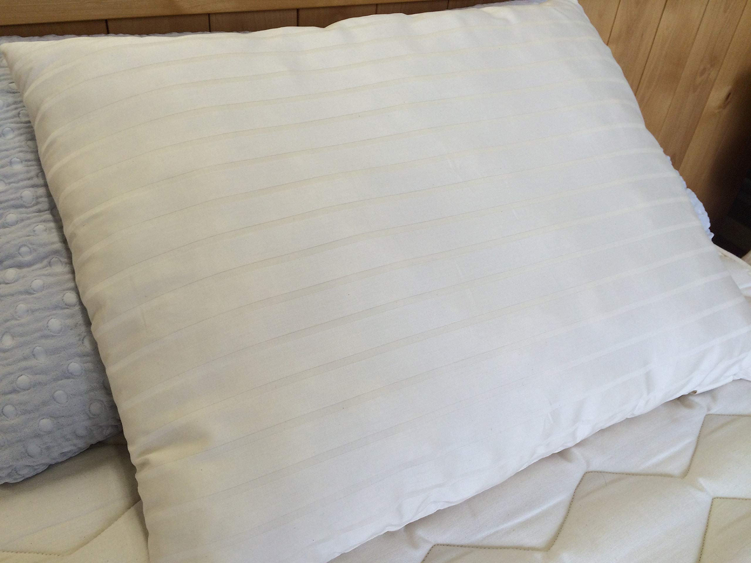 Holy Lamb Organics Natural Wool Filled Queen Size Pillow - Hypoallergenic, Breathable & Supportive for Side Sleepers - Perfect for Allergy Relief & Neck Pain