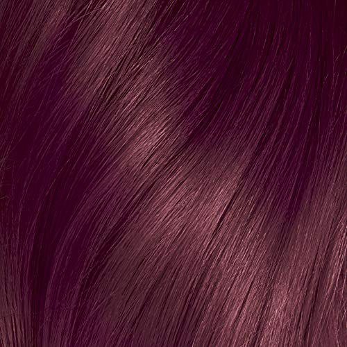 4RV Mayfair Burgundy