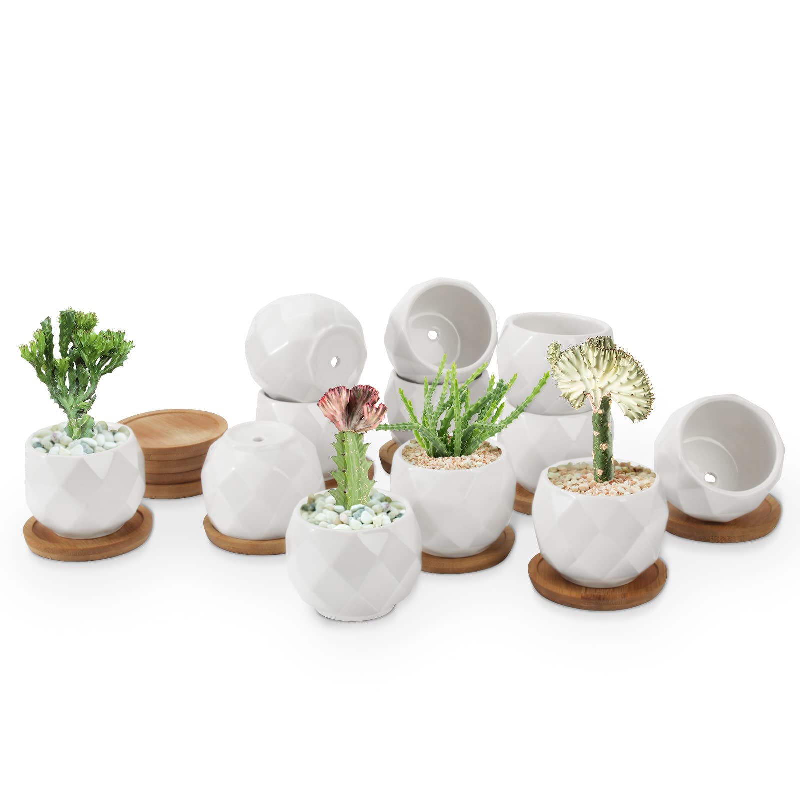 ZOUTOG 12 Pack 2.5 Inch White Mini Ceramic Succulent Pots with Drainage Hole - Small Square Pattern Planters for Indoor Plants, Home Decor, Office Desk, Wedding Favors (Plants Not Included)