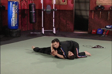 Authentic Pressure Points DVD 5: Grappling Techniques by Scott Rogers - Learn Self-Defense Moves for MMA, Martial Arts & Real-World Situations