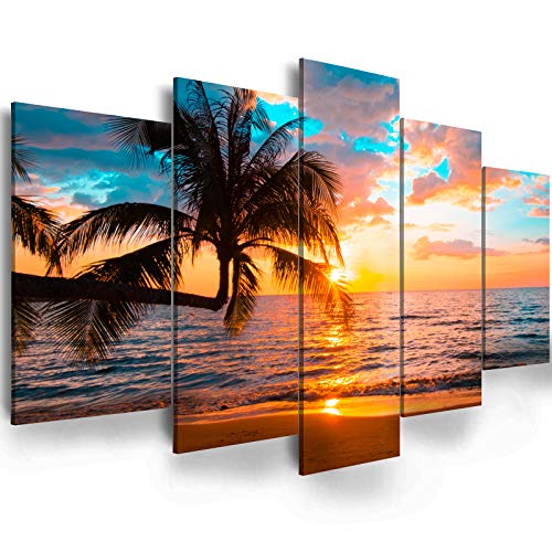 C-5pcs
