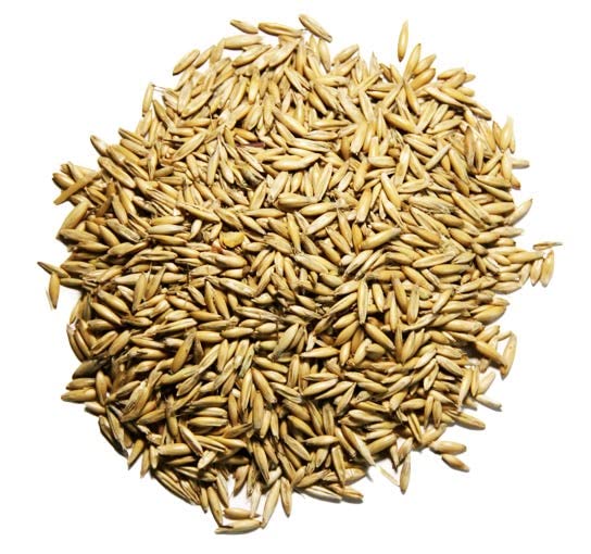 50 lbs Premium Whole Grain Oats for Animal Feed - High Protein Horse, Chicken & Livestock Food - Perfect for Farm Animals, Poultry & Pet Nutrition
