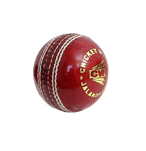 Premium Youth Cricket Kit Set - Complete Junior Cricket Equipment with Leather Bat, Bag & Full Size Gear | Perfect for Kids Cricket Training & Matches