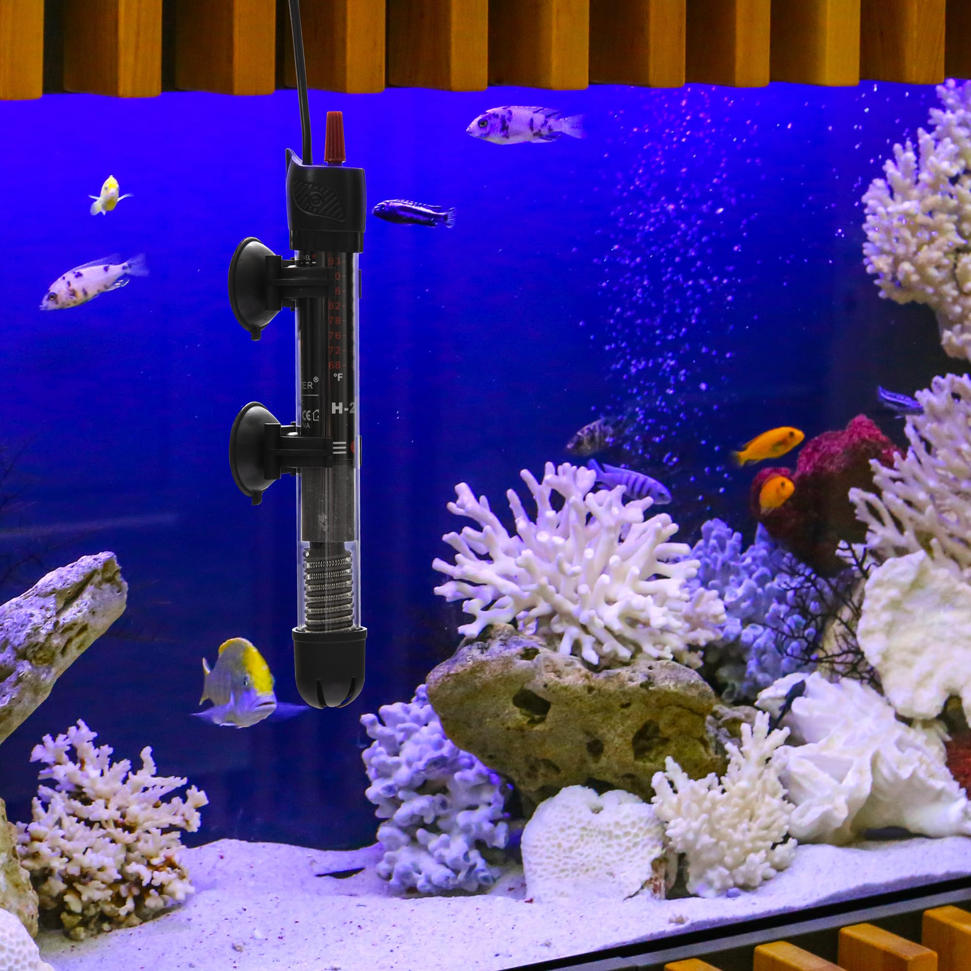 Abhirsh 100W Aquarium Heater - Adjustable Submersible Fish Tank Water Heater with Thermostat for 10-25 Gallon Tanks | Perfect for Tropical Fish, Betta Tanks & Marine Aquariums