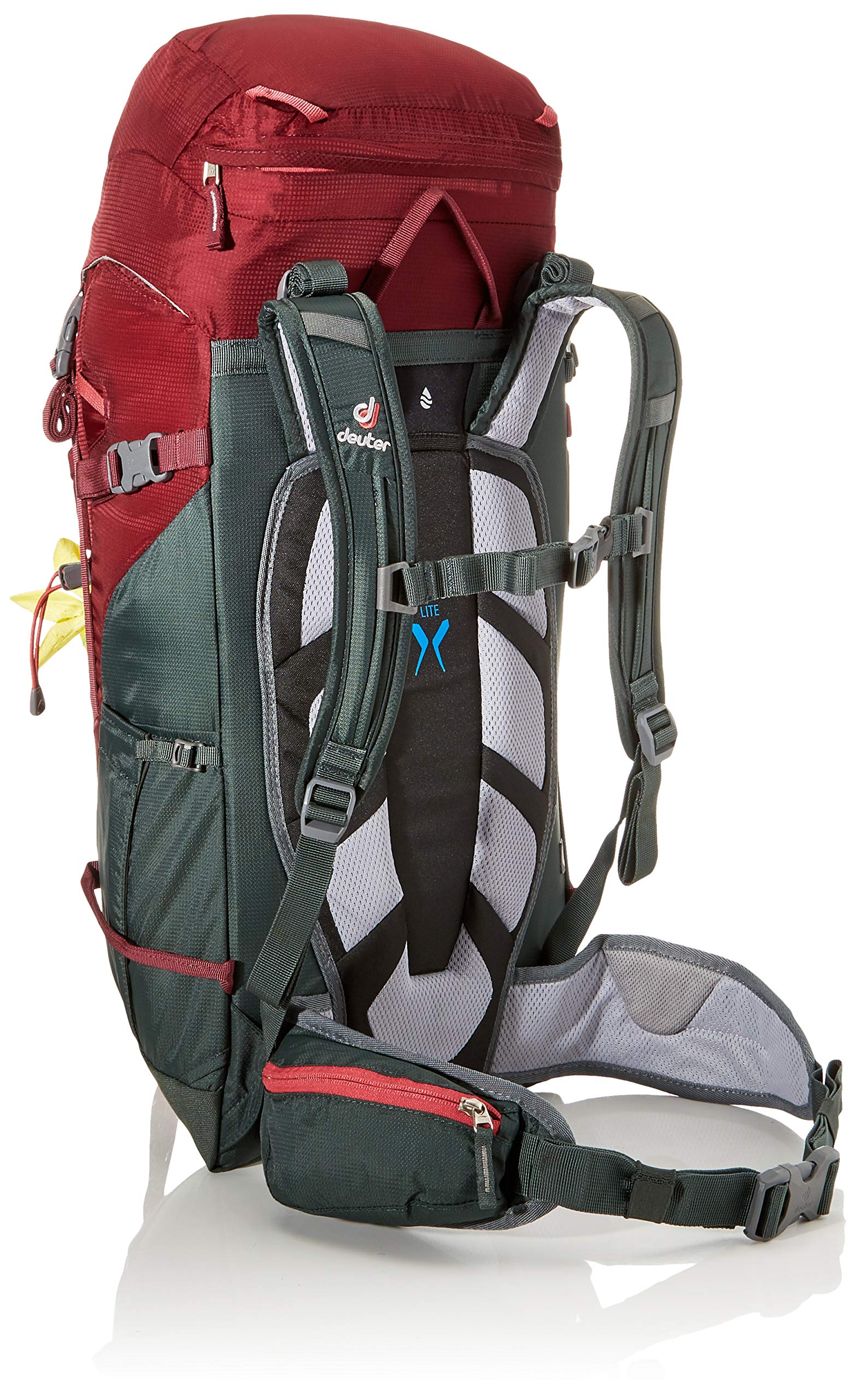 Deuter Rise Lite 26 SL Backpack for Women - Lightweight Hiking Daypack with Ventilation System, Maroon/Ivy Color - Perfect for Outdoor Adventures, Travel & Daily Commute