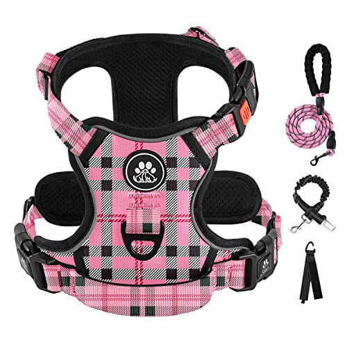 Checkered Pink
