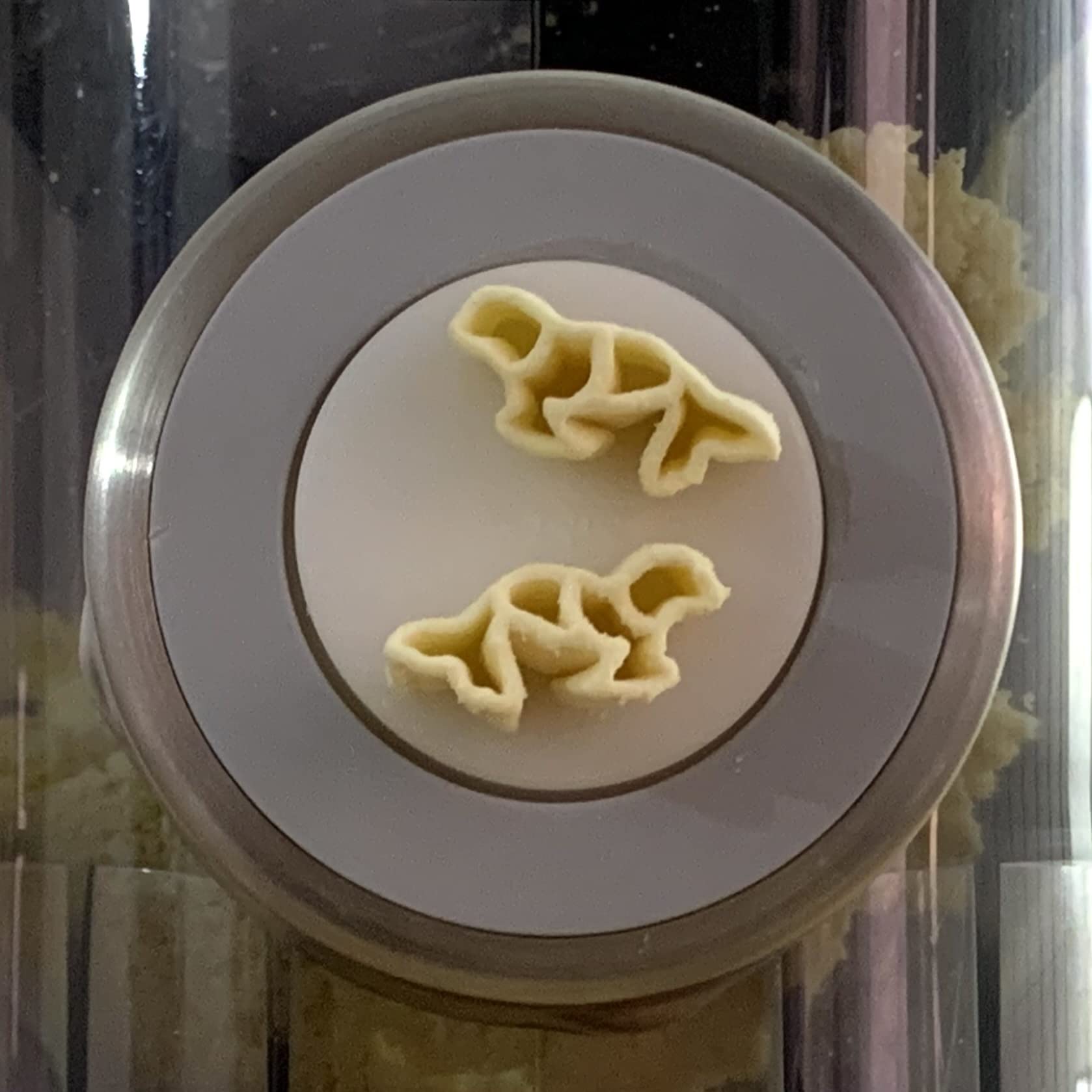 BNN VIVA Seal VPSEAL00 Replacement Pasta Disc Seal for Philips Pasta Maker VIVA - Perfect for Homemade Pasta, Ravioli & Noodle Making (Compatible with Philips HR2355/05, HR2357/59 Models)