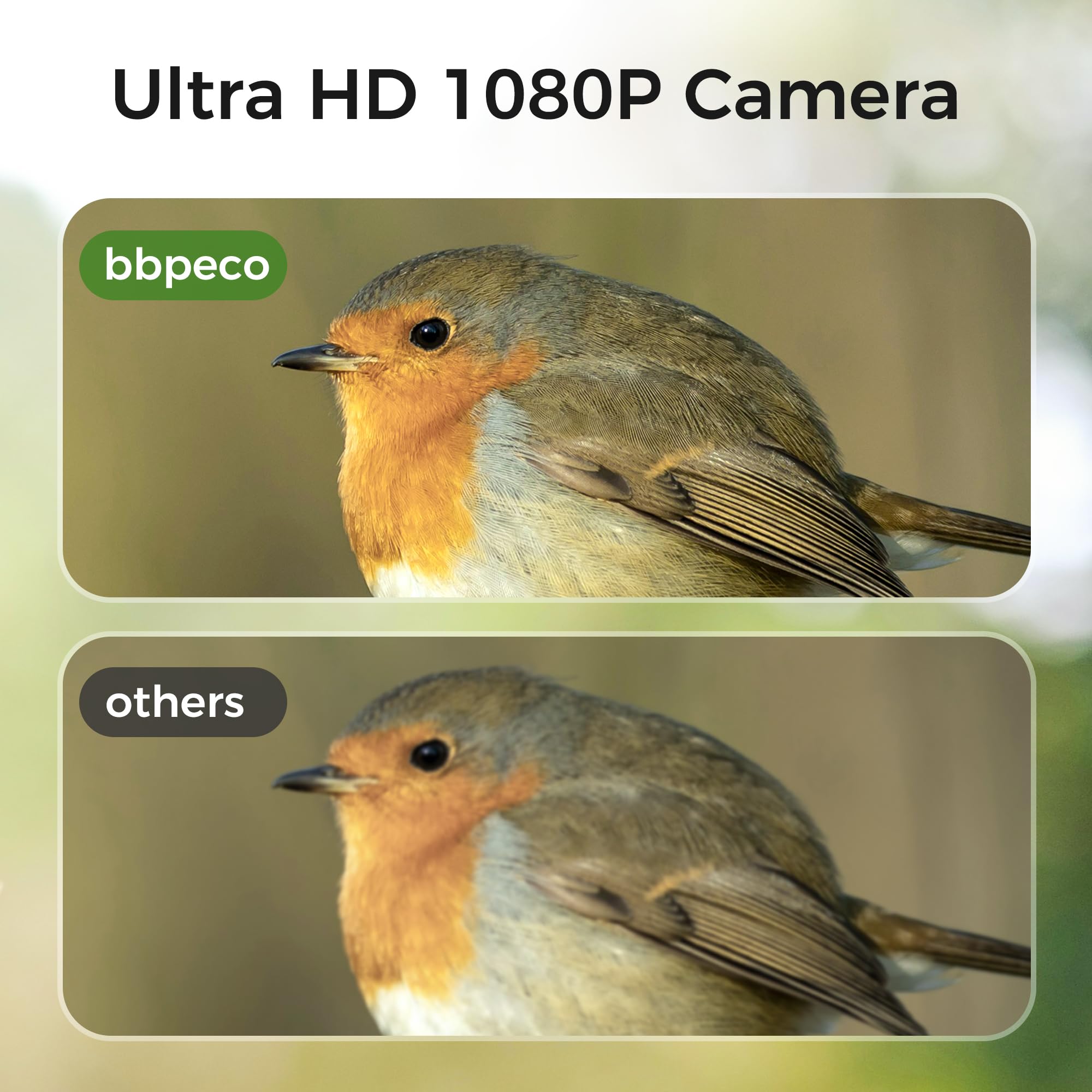 Smart Bird Feeder with Camera - 3L Capacity, AI Bird Identification for 10,000+ Species, Cloud Storage & Instant Alerts | Perfect Gift for Bird Lovers, Backyard Wildlife Watching & Christmas Presents