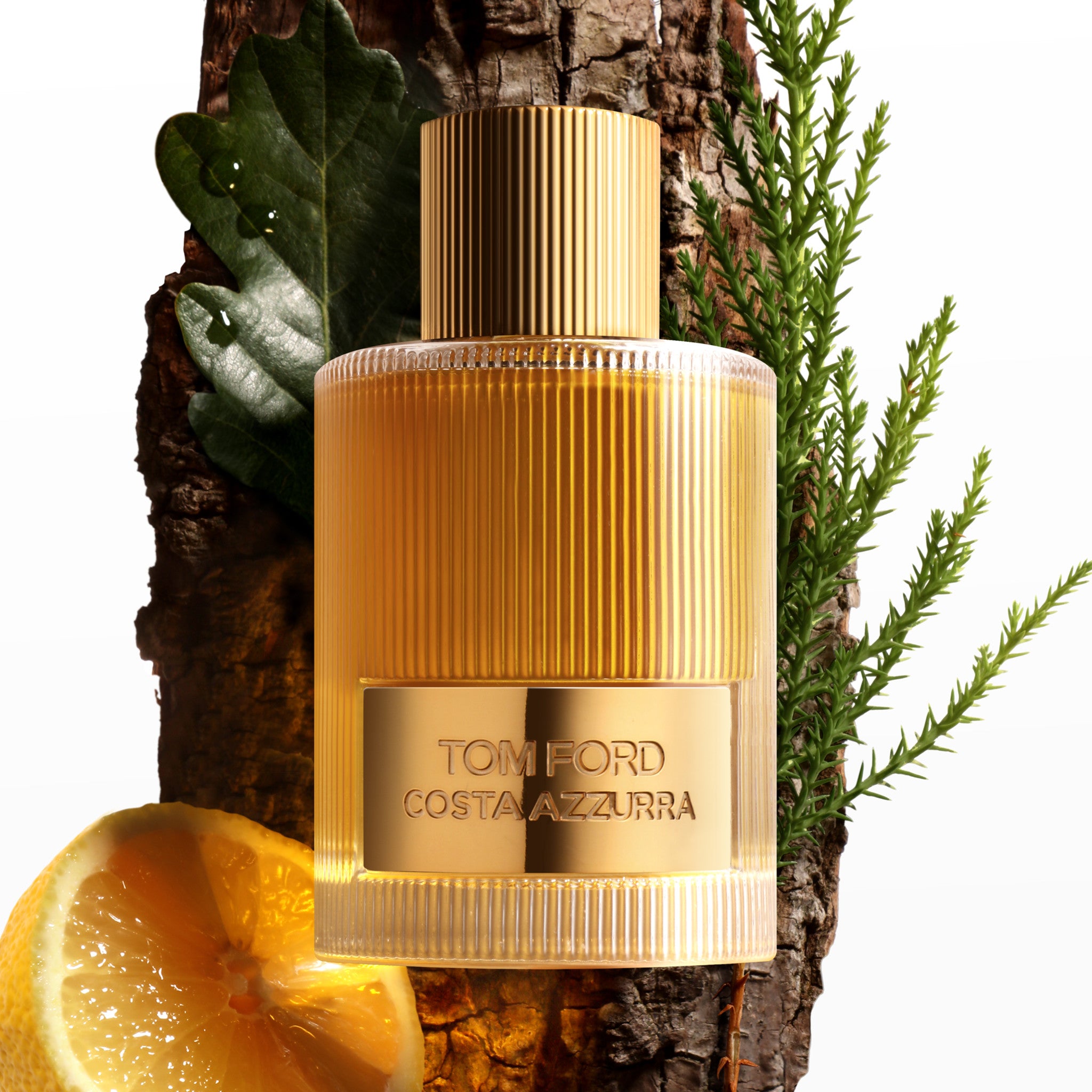 Costa Azzurra Eau de Parfum for Women - Luxury Floral Citrus Perfume - Perfect for Date Night & Special Occasions