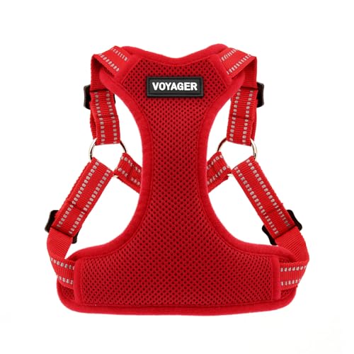 Harness (Red)