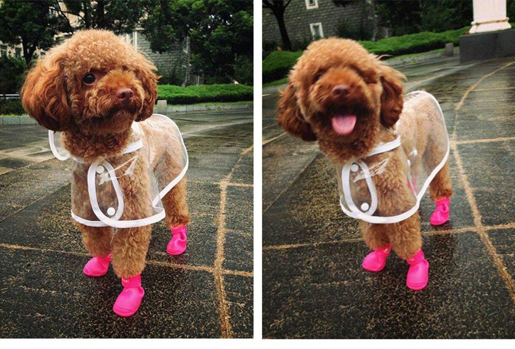 HongGun Waterproof Pet Raincoat - Transparent Dog Rain Jacket for Small Dogs & Puppies, Fashionable & Durable Rainwear (XS, White) - Perfect for Walking in Rainy Weather & Outdoor Adventures