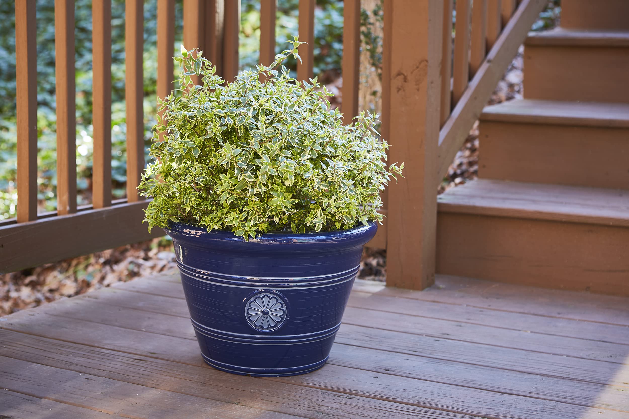Southern Patio 15