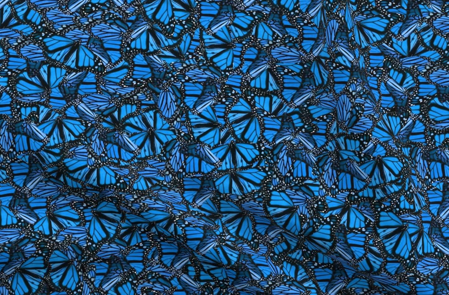 Blue Butterflies Monarch Kids Cobalt Black Spring Insect Printed Cotton Fabric by The Yard - Premium Spoonflower Fabric for Sewing, Quilting, Apparel, Crafts & Home Decor - Perfect for DIY Projects, Baby Clothes, and Wall Art