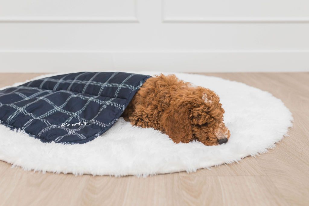 Blair Mini Blanket - Soft & Cozy Travel Blanket for Adults & Kids - Perfect for Airplane, Car, Office & Home Use