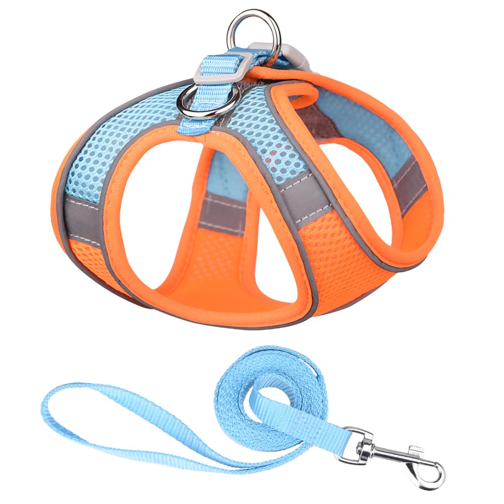 Adjustable No-Pull Mesh Dog Harness for Small to Medium Dogs & Cats - Step-in Puppy Vest with Leash for Walking | Perfect for Daily Walks, Training & Outdoor Adventures