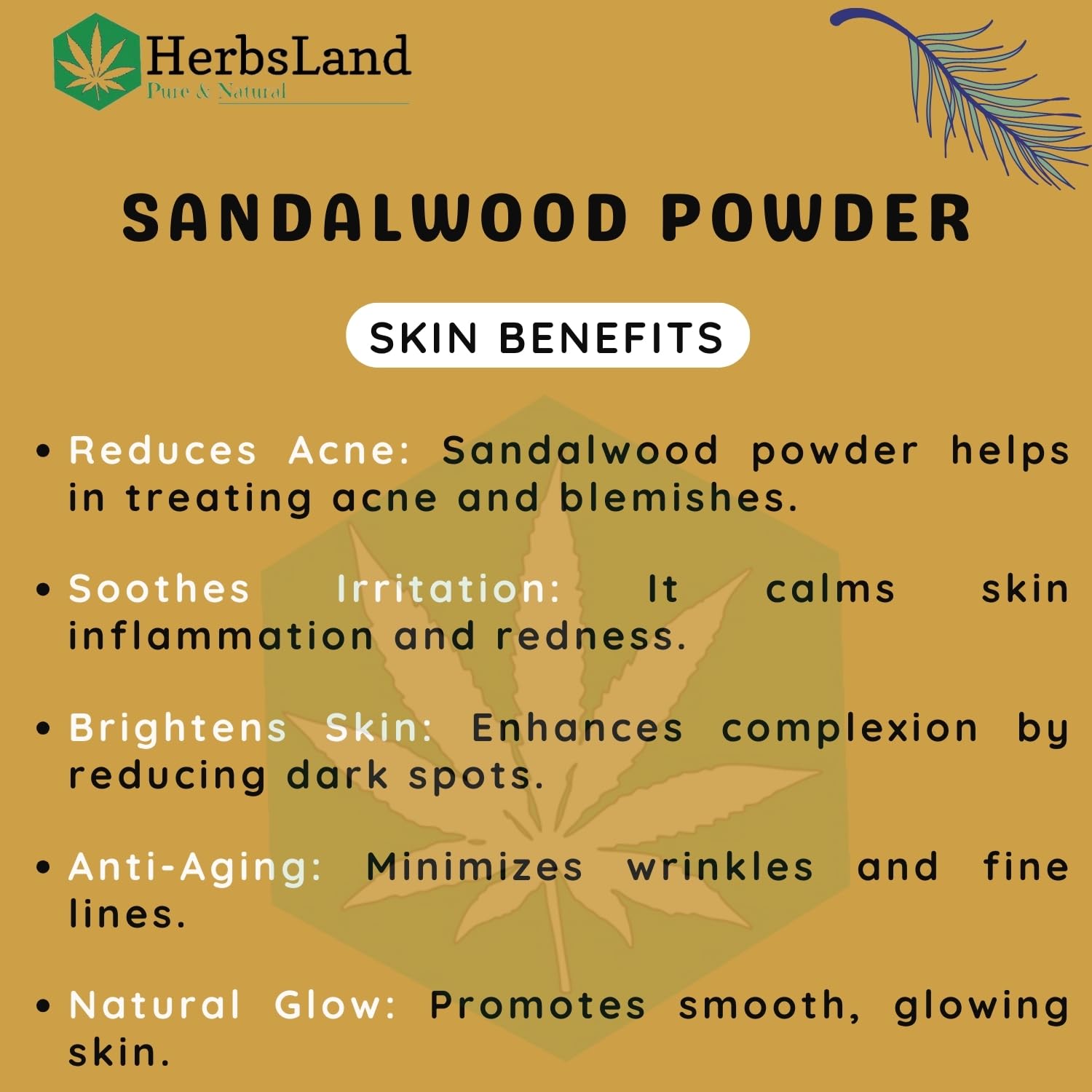 HerbsLand® 100% Natural Beetroot Powder (Beta Vulgaris Superfood) | Red Lentil Seed (Masoor Dal) Face Pack | Pure Sandalwood (Chandan) Powder for Glowing Skin & Face Care - 100g Each | DIY Skincare, Natural Beauty Routine, Ayurvedic Treatment