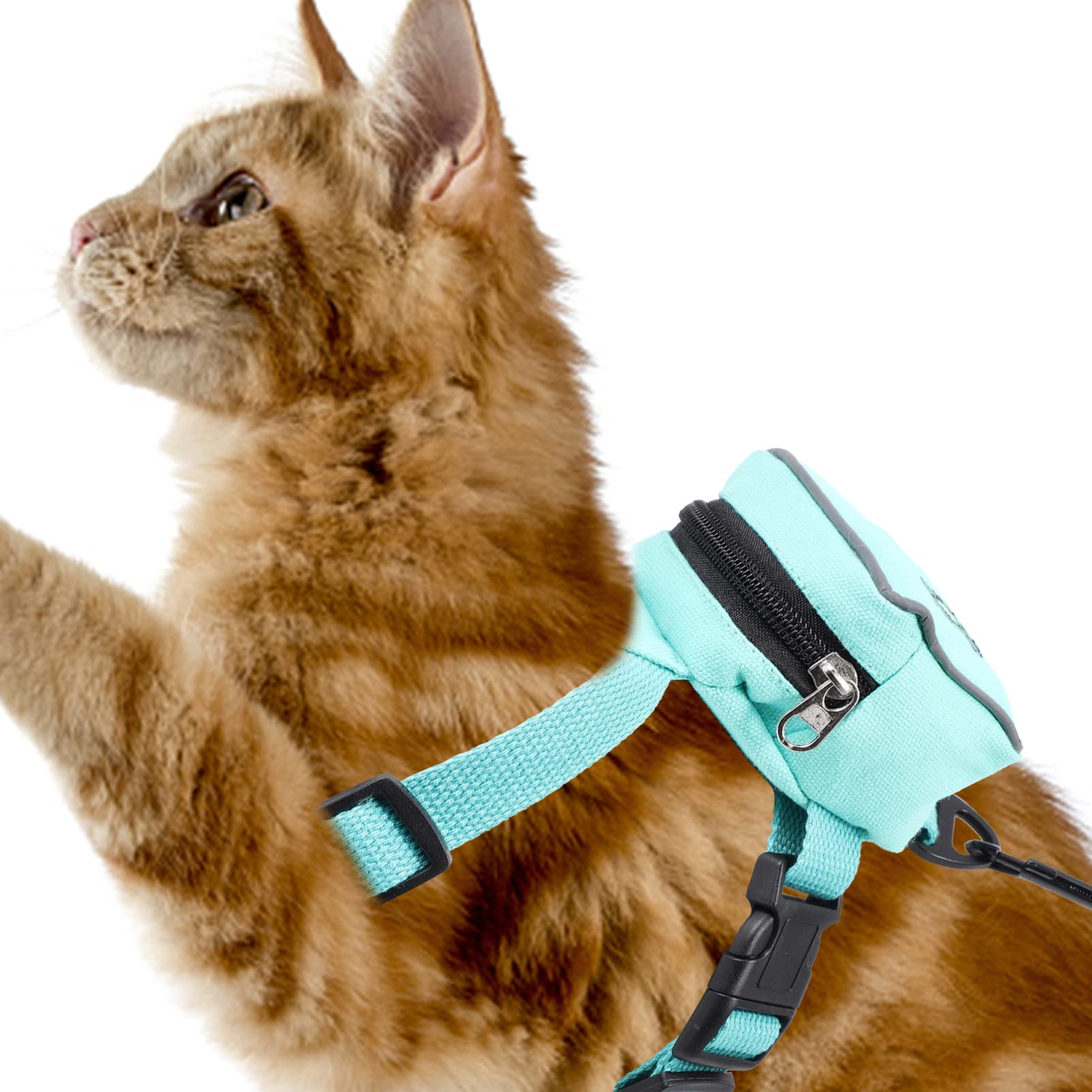 Mipcase Pet Backpack Carrier for Small Dogs - Adjustable Dog Leash Backpack Harness with Traction Rope, Puppy Saddle Bag & Break Suspenders - Durable Polyester Travel Backpack for Hiking, Walking & Outdoor Adventures