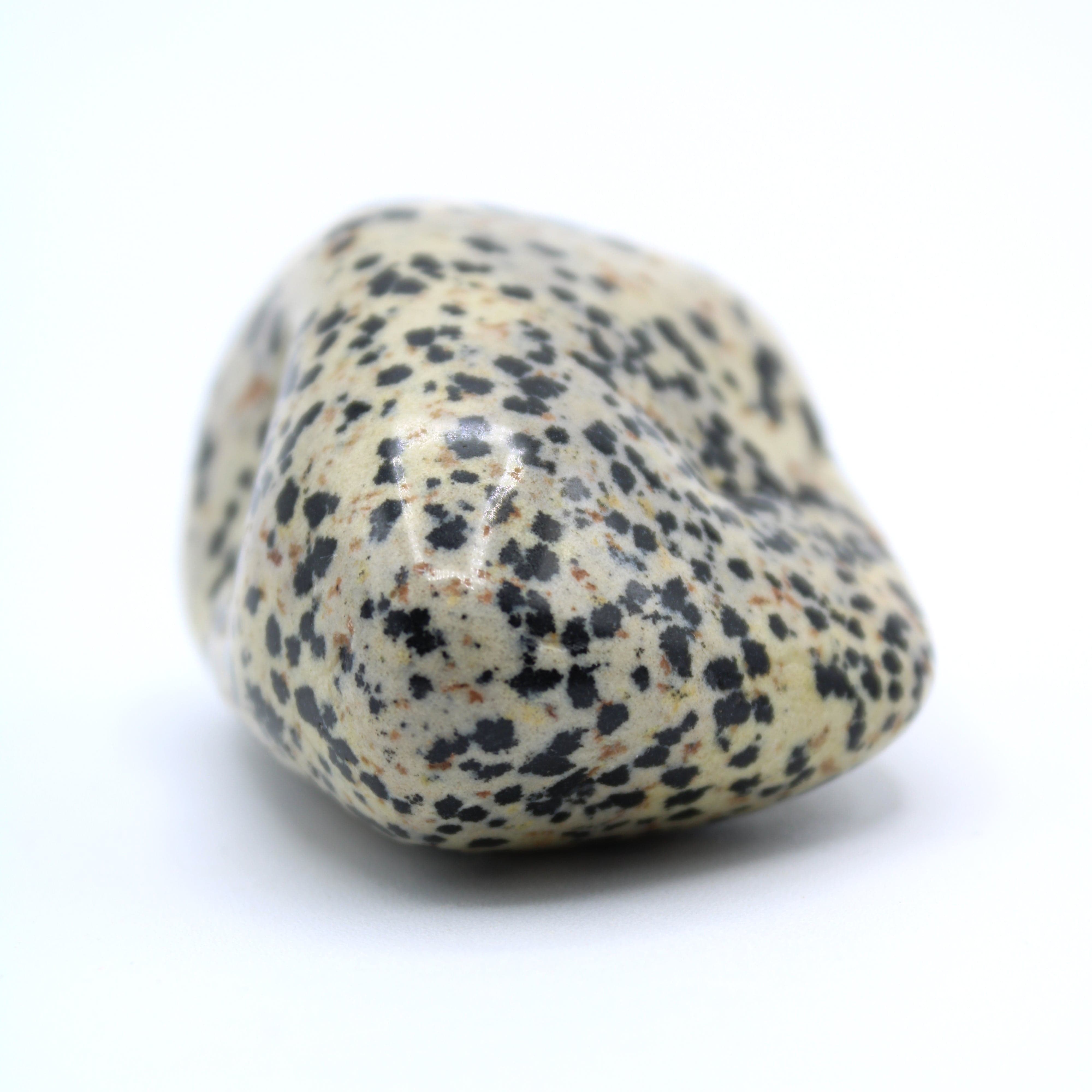 Natural Dalmatian Jasper Free Form Stone - Healing Crystal for Meditation, Home Decor & Spiritual Gifts | Perfect for Yoga, Reiki & Positive Energy