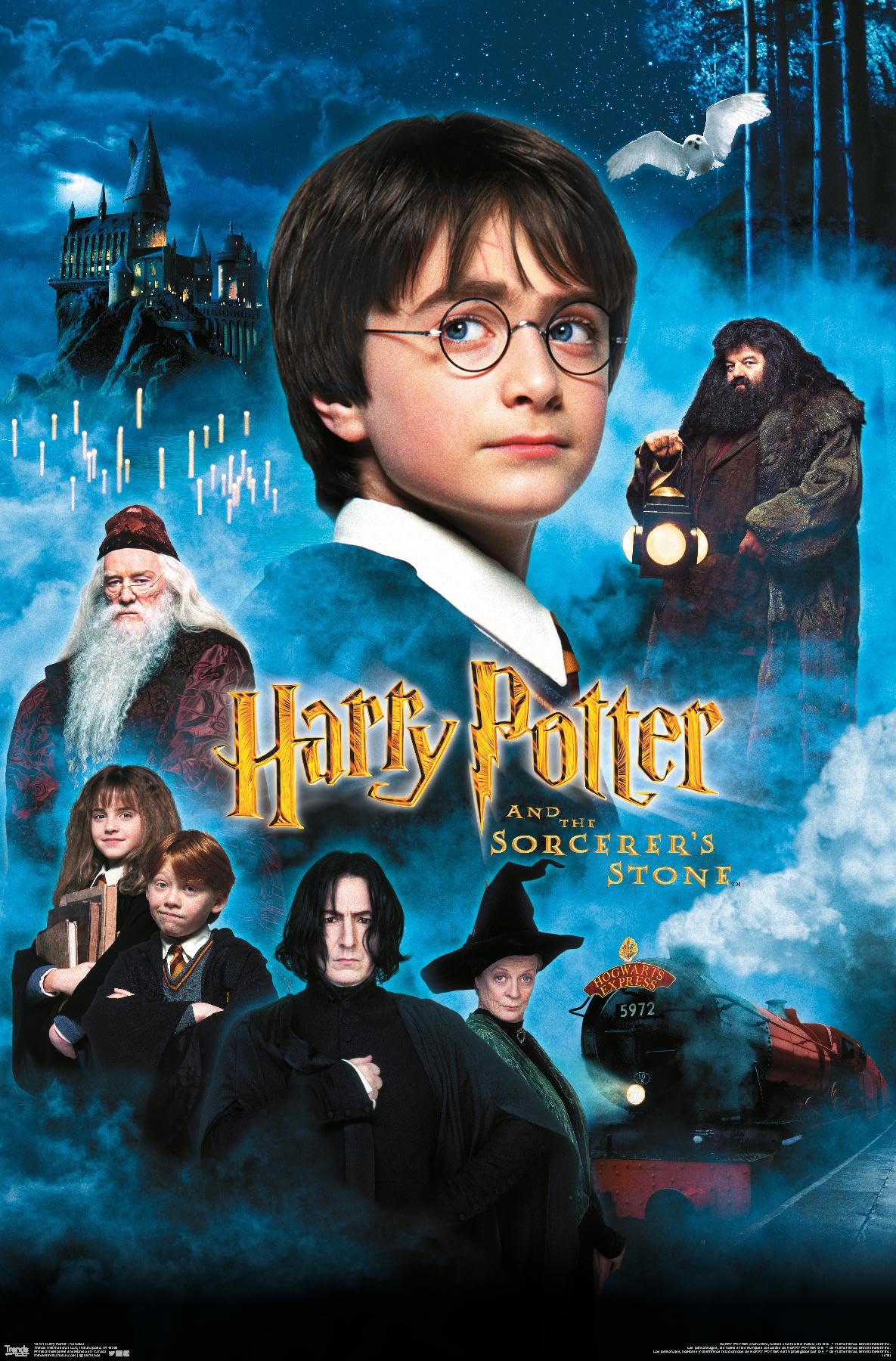 Trends International Harry Potter and the Sorcerer's Stone Wall Poster - 14.725 x 22.375 Inches Premium Unframed Movie Decor - Perfect for Bedroom, Dorm Room, and Office Decoration
