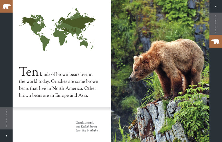 Amazing Animals (2014): Brown Bears - Educational Wildlife Documentary for Nature Lovers & Classroom Learning
