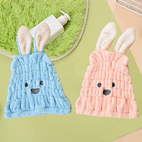 Rabbit-pink&blue