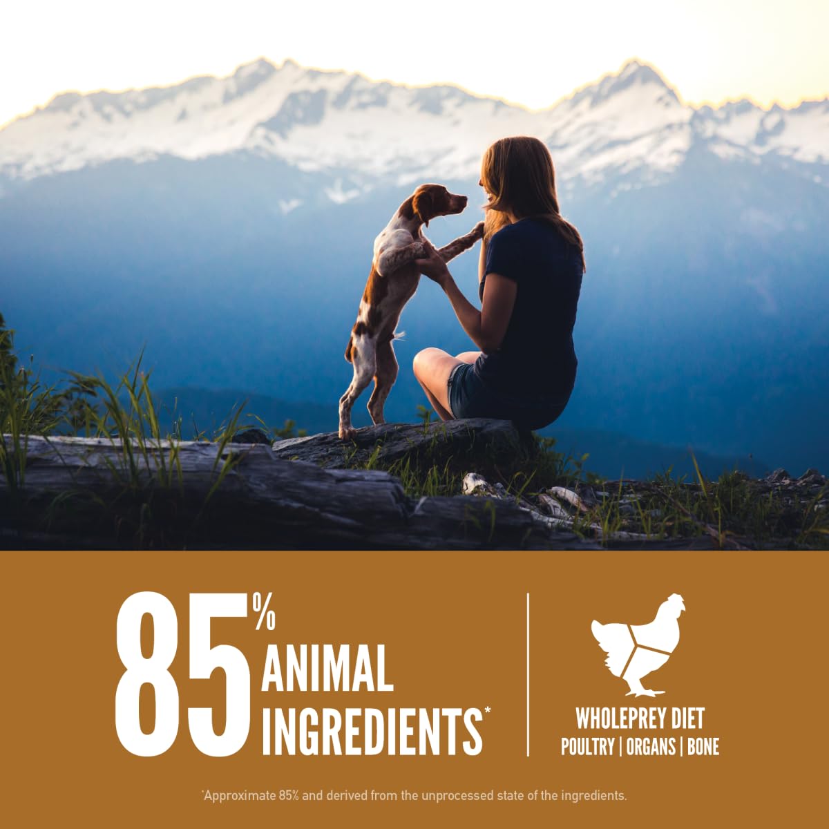 ORIJEN Grain Free Puppy Dry Dog Food - High Protein, Fresh & Raw Ingredients, 23.5lb Bag - Perfect for Growing Puppies & Small Breed Dogs - Ideal for Training, Daily Meals & Healthy Development