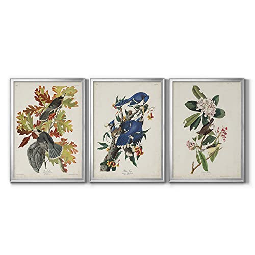 Art S2486-3ss