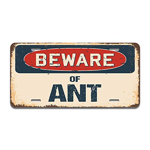 Beware of Ant