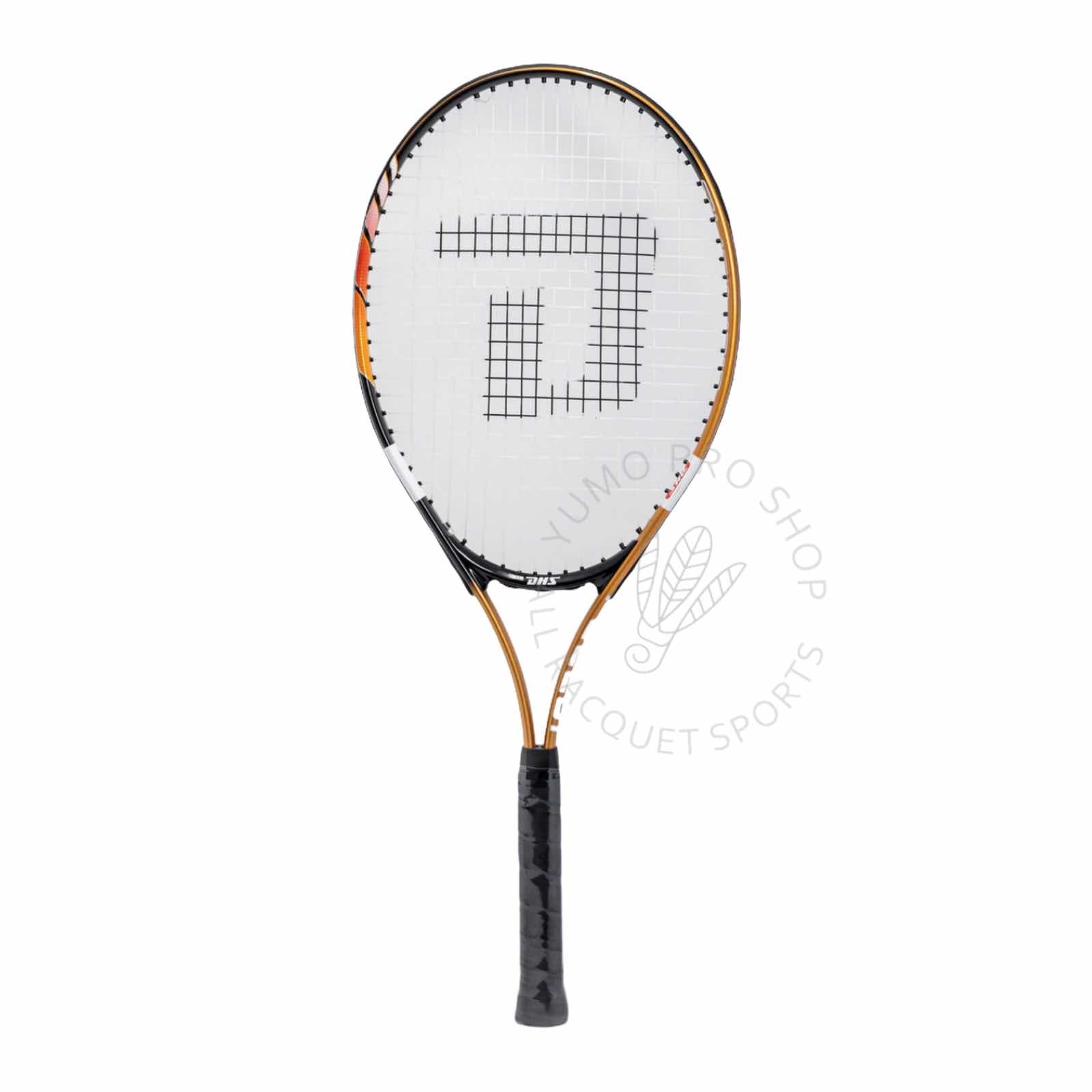 Premium DHS 282 Tennis Racket Set with Training Balls - Professional Tennis Equipment for Beginners & Advanced Players - Perfect for Court Practice, Backyard Training & Tennis Lessons