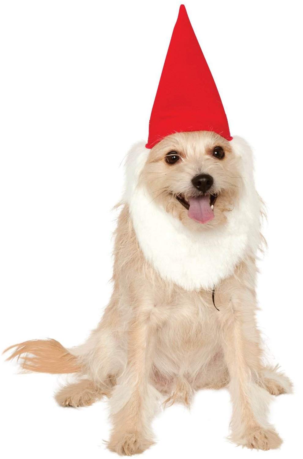 Rubies Costume Company Garden Gnome Hat with Beard - Halloween Costume Accessory for Adults & Kids - Perfect for Cosplay, Themed Parties, and Festive Events