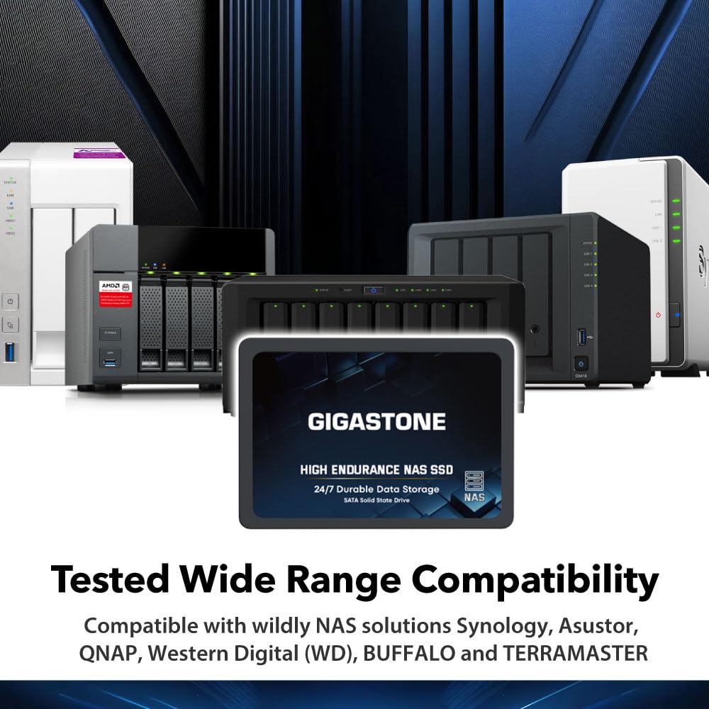 Gigastone 512GB NAS SSD Drive (2-Pack) - High Endurance TLC RAID Storage for 24/7 Operation | 2.5