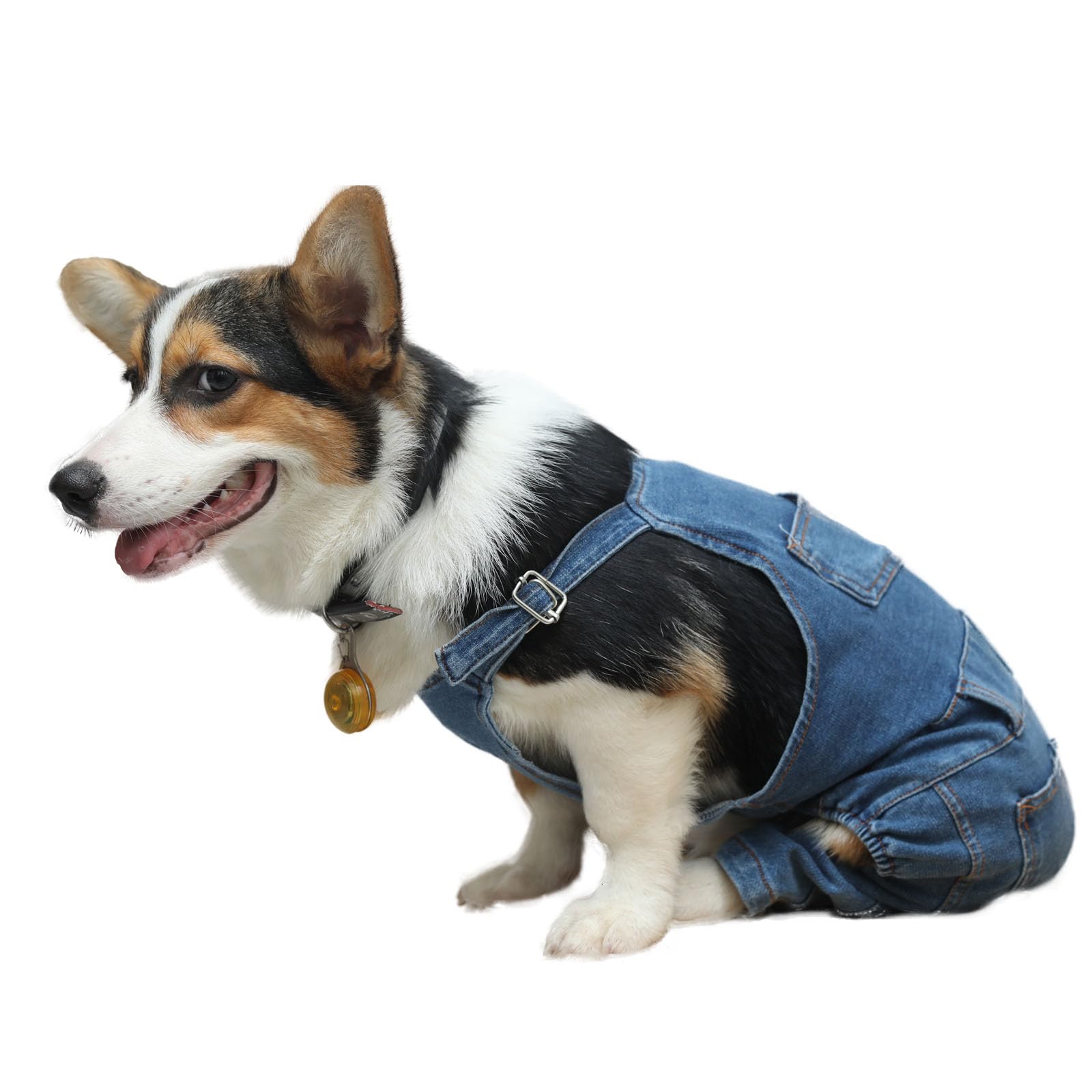 Dog Denim Jumpsuit Overalls for Small Dogs - Puppy Costume & Fashion for Daily Walks