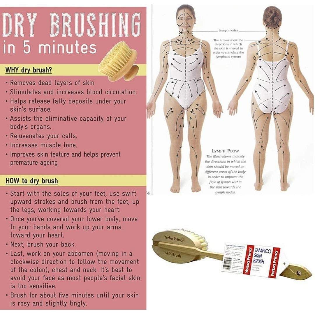 Yerba Prima Tampico Skin Brush - Natural Exfoliating Body Brush for Dry Brushing & Lymphatic Drainage - Perfect for Spa, Shower & Self-Care Routine