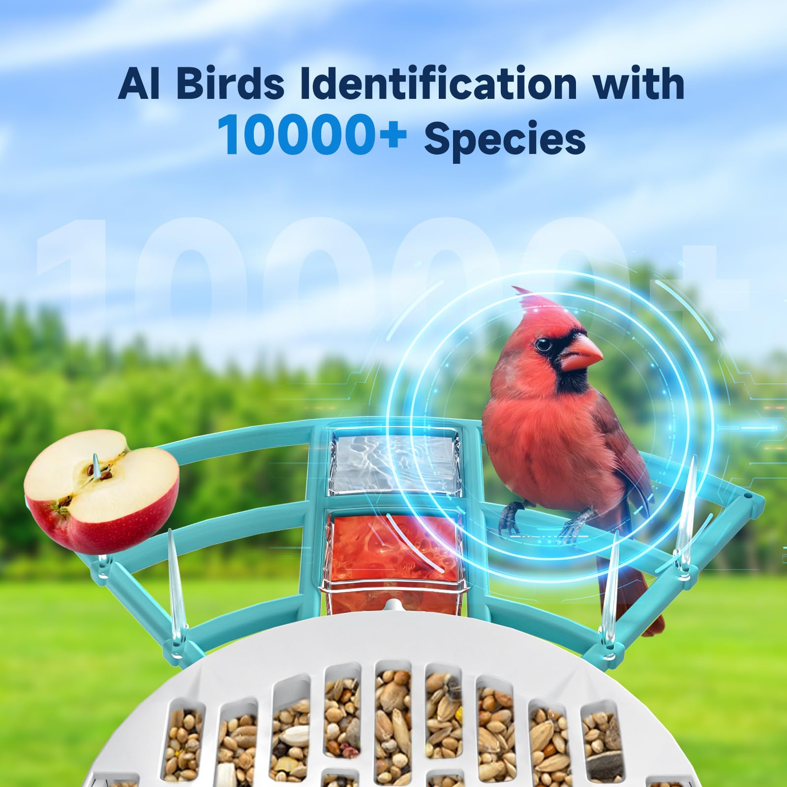 Smart Bird Feeder with HD Camera & Solar Panel - Outdoor Squirrel-Proof Bird Feeder with AI Bird Identification - Perfect Gift for Bird Lovers (Blue) - Ideal for Backyard Bird Watching & Nature Observation