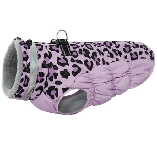 Purple Leopard