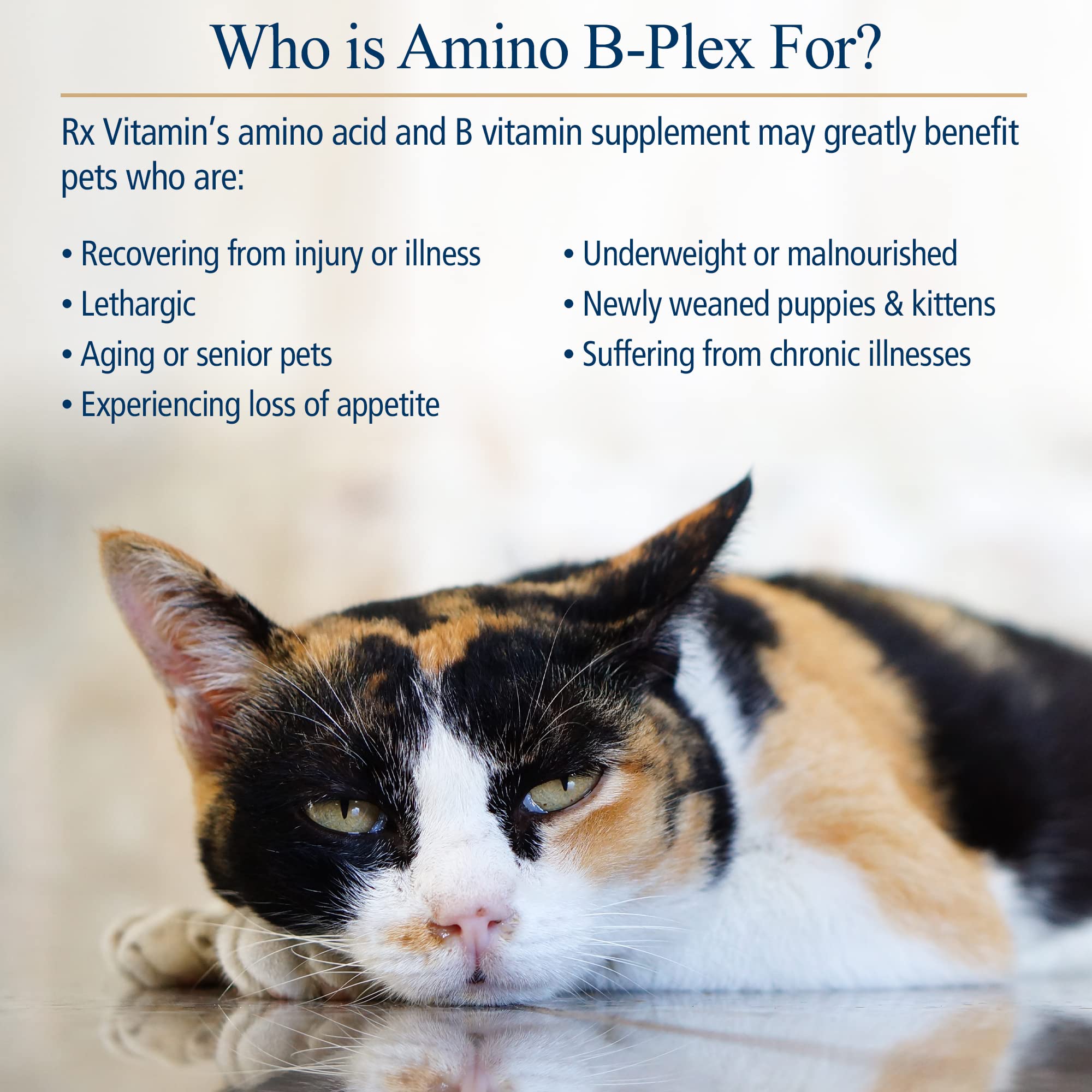 Rx Vitamins Amino B Plex for Dogs & Cats - B Complex Vitamin Supplement with Amino Acids for Pet Health - Supports Energy, Skin & Coat - 4 oz Liquid Formula - Ideal for Senior Pets & Recovery